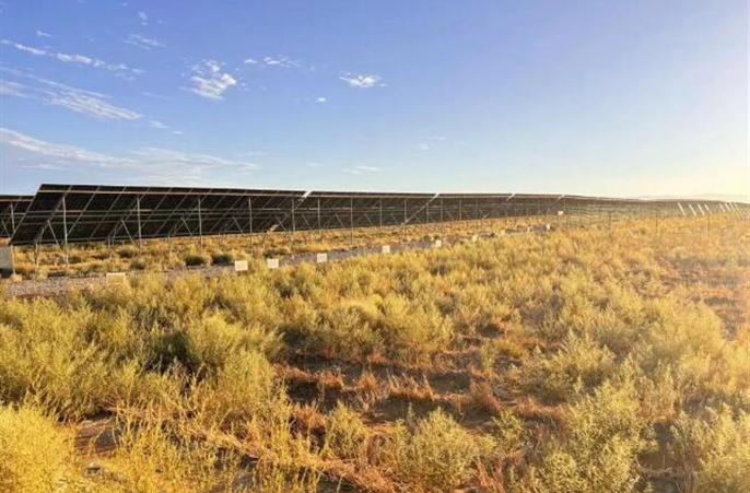 沙漠换“新装”,一起来看看这个项目的如画秋景